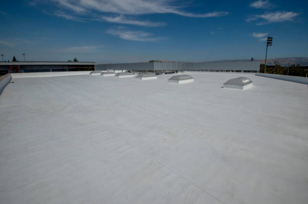 Best Asphalt Shingles Roofing  in Kankakee, IL