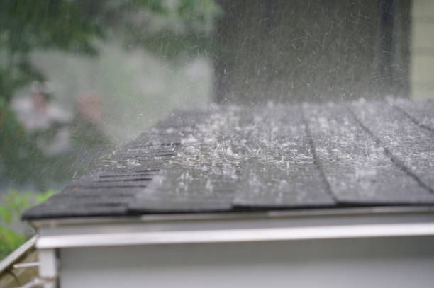 Best Metal Roofing Installation  in Kankakee, IL